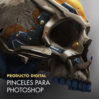 Pinceles de Carles Marsal